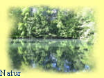 Rabensteiner Natur
