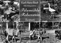 Tierpark Rabenstein